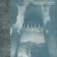 The Shallow Sky - Controlled Bleeding