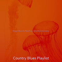 Blues Harmonica Soundtrack for Summer Trips - Country Blues Playlist