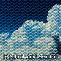 Через поля - Sounds Of Nature Relaxation