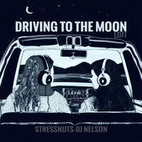 Astronaut Guitarrist - Dj Nelson & Stress Nut