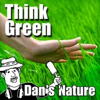 Under the Waterfall - Dan's Nature