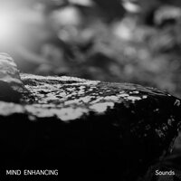 Great Alpha Waves - Meditação Música Ambiente