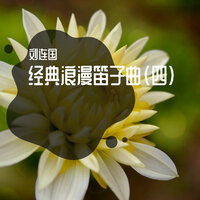 爱情的酒 - 刘连国