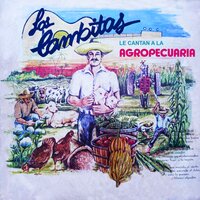 Rosa - Los Cambitas