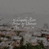 Rainy Sunrise Forest Ambience - Nursery Rhymes & Pro Sound Effects Library & Lullabies for Deep Meditation