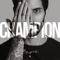 Champion - Brych