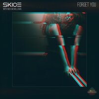 Forget You - Skice & Nick McWilliams