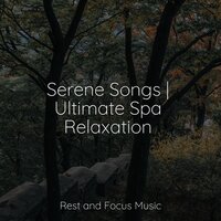 Starshine Universe - Meditation Music Club & Trouble Sleeping Music Universe & Wellness