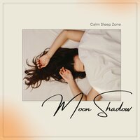 Sleep Music - Calm Sleep Zone