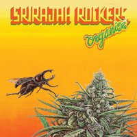 Destroy Babylon - Srirajah Rockers