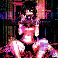 GATE MANIPULYATION - ZWWEXI