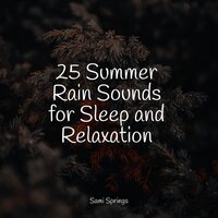 All Night Rain - Yoga Rain & Schlaflieder Relax & Spa Music Collective