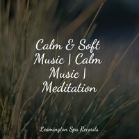 Ambient Music for Stress Relief - Deep Sleep & Spa & Study Music Library