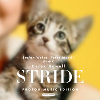 Stride - Derek Howell