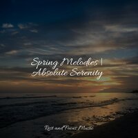 Ocean's Revival - Academia de Música para Massagem Relaxamento & Hipnose Natureza Sons Coleção & mindfulness meditation world