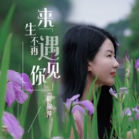 来生不再遇见你 - 倪尔萍