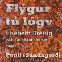 Ein Linni - Elsebeth Dreisig