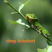 We Are Thought - Amy Schubert