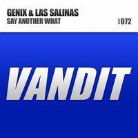Say Another What - Genix