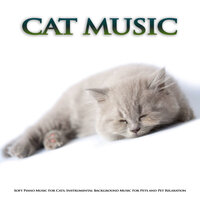 Ambient Piano Music For Sleeping Cats - Music For Cats & Cat Music & Music For Pets