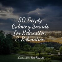 Deep Sleep - Deep Sleep & nature & Sounds Background & Ambient Music Therpy