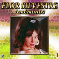 Mi Casita De Paja - Flor Silvestre