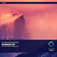 Sorrow - Chronosapien