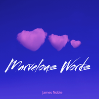 Lost Evening - James Noble