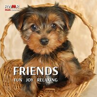 Soothing sounds for your dog - RW Joyful Dog Sounds