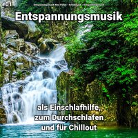 Tiefsinnige Erholung - Entspannungsmusik & Schlafmusik & Entspannungsmusik Nino Pallen
