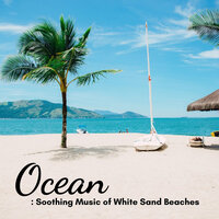 Pacifying Tidal Ponds - Spa Music Station & 1 Hour Spa Music & Spa Station