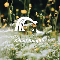 Babbling Spring White Noise - Silent Knights & Dylan Barnes & Rob Davy & Mark Dowling