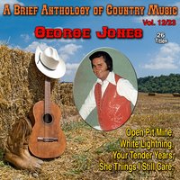 Brothers of a Bottle - George Jones