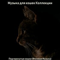 Музыка (Подчеркнутые кошки) - Музыка для кошек Коллекции