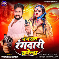 Chamran Rangdaari karela - Pawan parwana