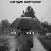 Book Weather - Rain David Sleep Dragon