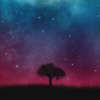Echoes in My Mind - DJJango