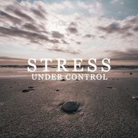 Qi Gong Vitality - Less Stress Music Academy