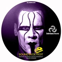 Sound in Detroit - Bob Ray