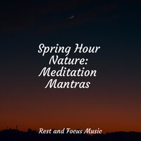 Sustained Tranquility - Life Sounds Nature & Relaxamento & Study Power