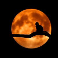 Raining Zen - Sleep Sound Library