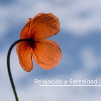 Sanación Espiritual - Best Relaxation Music & Jack Thought & Best Relaxation Music & Jack Thought