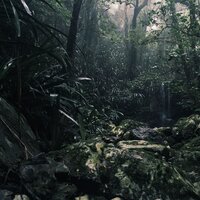 Rocío Ámbar Matutino - Lluvia Relajante & Musica para Dormir Dream House & Musica Para Meditar