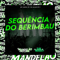 Sequência do Berimbau - Solta a Putaria Porra - MC Luana SP & DJ Alan 011