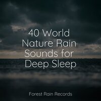 Tranquil Sea - Natural Nature Makers & Musica relajante & Reiki Music