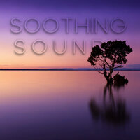 Soothing Sounds for Calm - Sleep Sounds