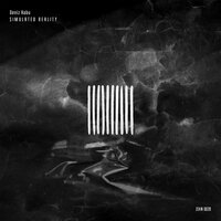 Simulated Reality - Deniz Kabu