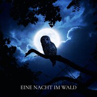 Wolf Wiegenlied - Einschlafen Akademie