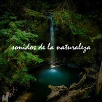 Lluvia en el Techo de la Cabaña - Para Dormir