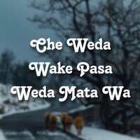 Che Weda Wake Pasa Weda Mata Wa - Hashmat Amin